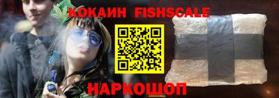 тгк Бийск