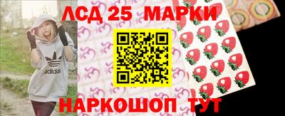 тгк Бийск