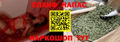 прущие грибы Берёзовский