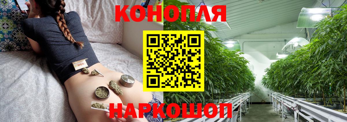 Бошки марихуана индика  Бошки Шишки Bruce Banner  Вход с VPN  Богородицк  Конопля план 
